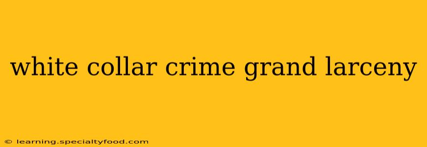 white collar crime grand larceny