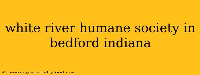 white river humane society in bedford indiana