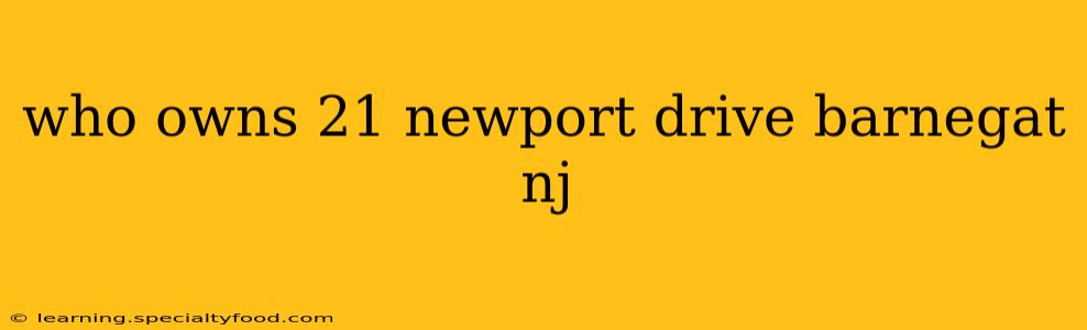 who owns 21 newport drive barnegat nj