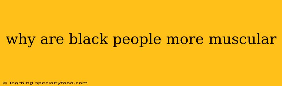 why are black people more muscular