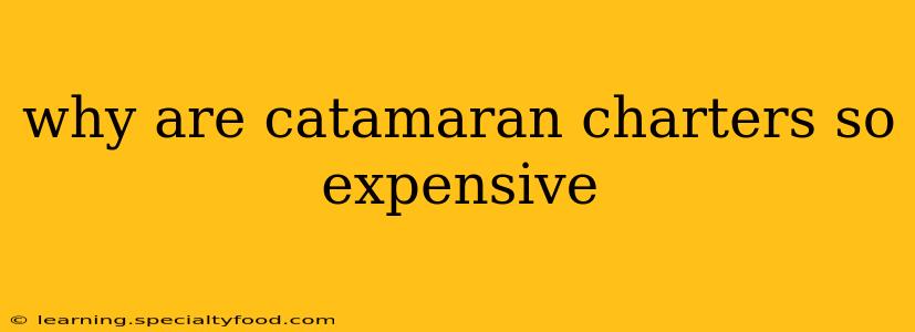 why are catamaran charters so expensive