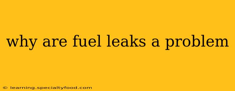 why are fuel leaks a problem