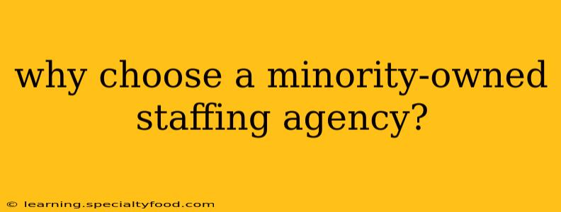 why choose a minority-owned staffing agency?