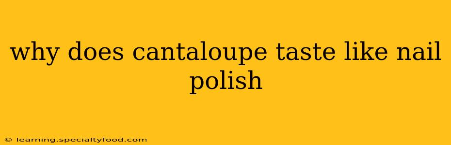 why does cantaloupe taste like nail polish