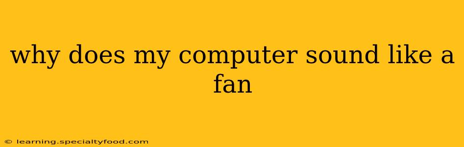 why does my computer sound like a fan