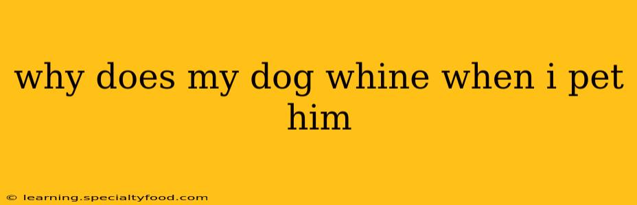 why does my dog whine when i pet him
