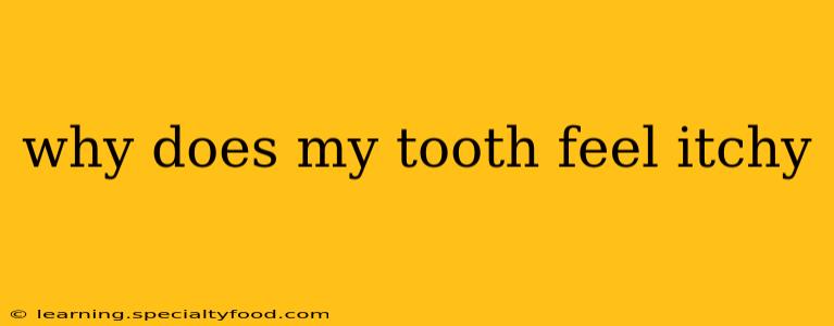 why does my tooth feel itchy