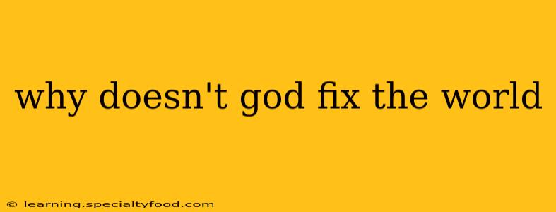 why doesn't god fix the world