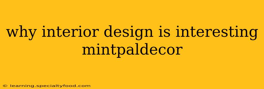 why interior design is interesting mintpaldecor