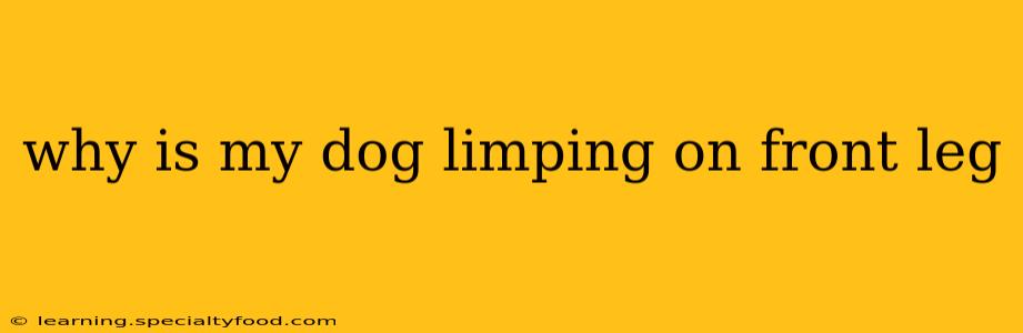 why is my dog limping on front leg