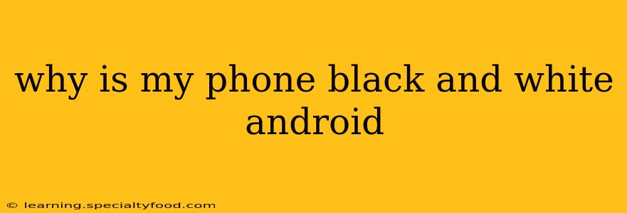why is my phone black and white android