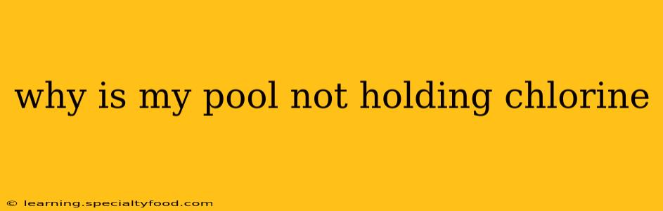 why is my pool not holding chlorine