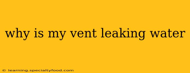 why is my vent leaking water