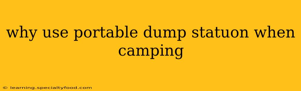 why use portable dump statuon when camping