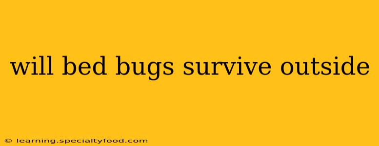 will bed bugs survive outside