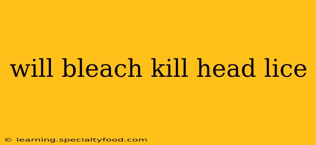 will bleach kill head lice