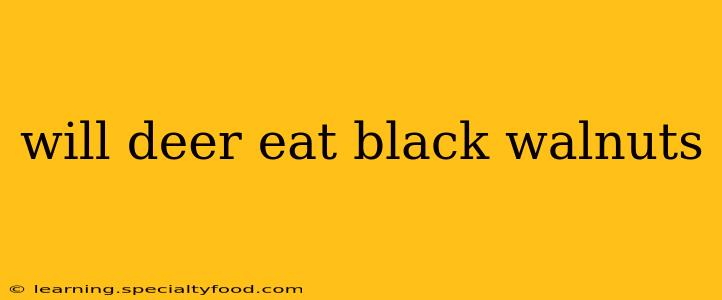 will deer eat black walnuts
