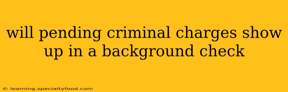 will pending criminal charges show up in a background check