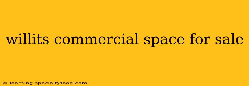 willits commercial space for sale
