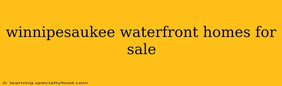 winnipesaukee waterfront homes for sale