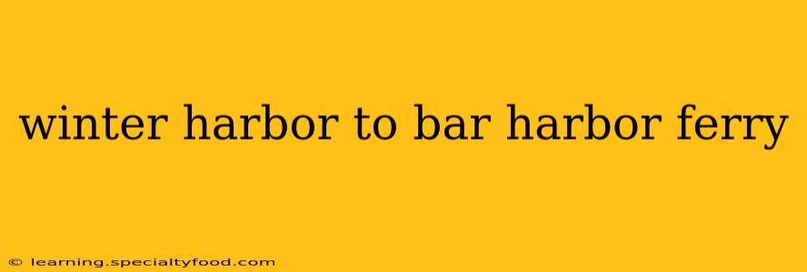 winter harbor to bar harbor ferry