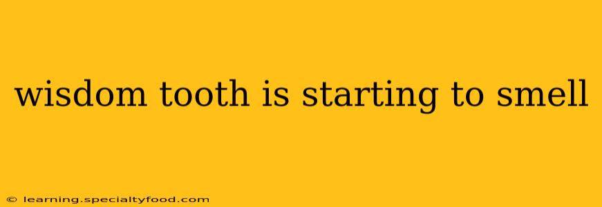 wisdom tooth is starting to smell