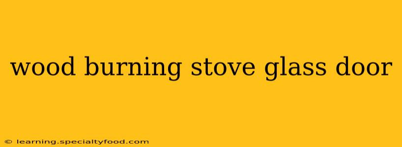 wood burning stove glass door