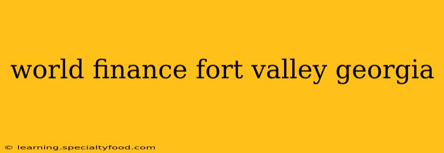 world finance fort valley georgia