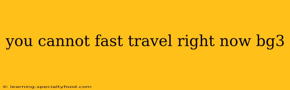 you cannot fast travel right now bg3